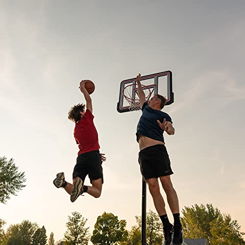 Lifetime Adjustable Shatterproof Fusion Portable Basketball Hoop, 44-Inch Backboard