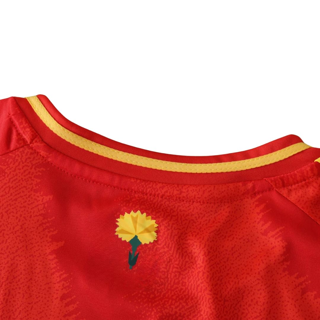 Spain Lamine Yamal Home 2024 Soccer Jersey for Men Fan Version (US, Alpha, Large, Regular, Regular, Home)