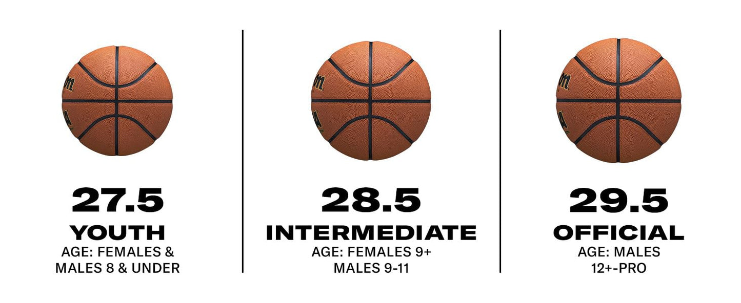 WILSON Caitlin Clark EVO NXT 3951 Game Basketball - Orange, Size 6-28.5"