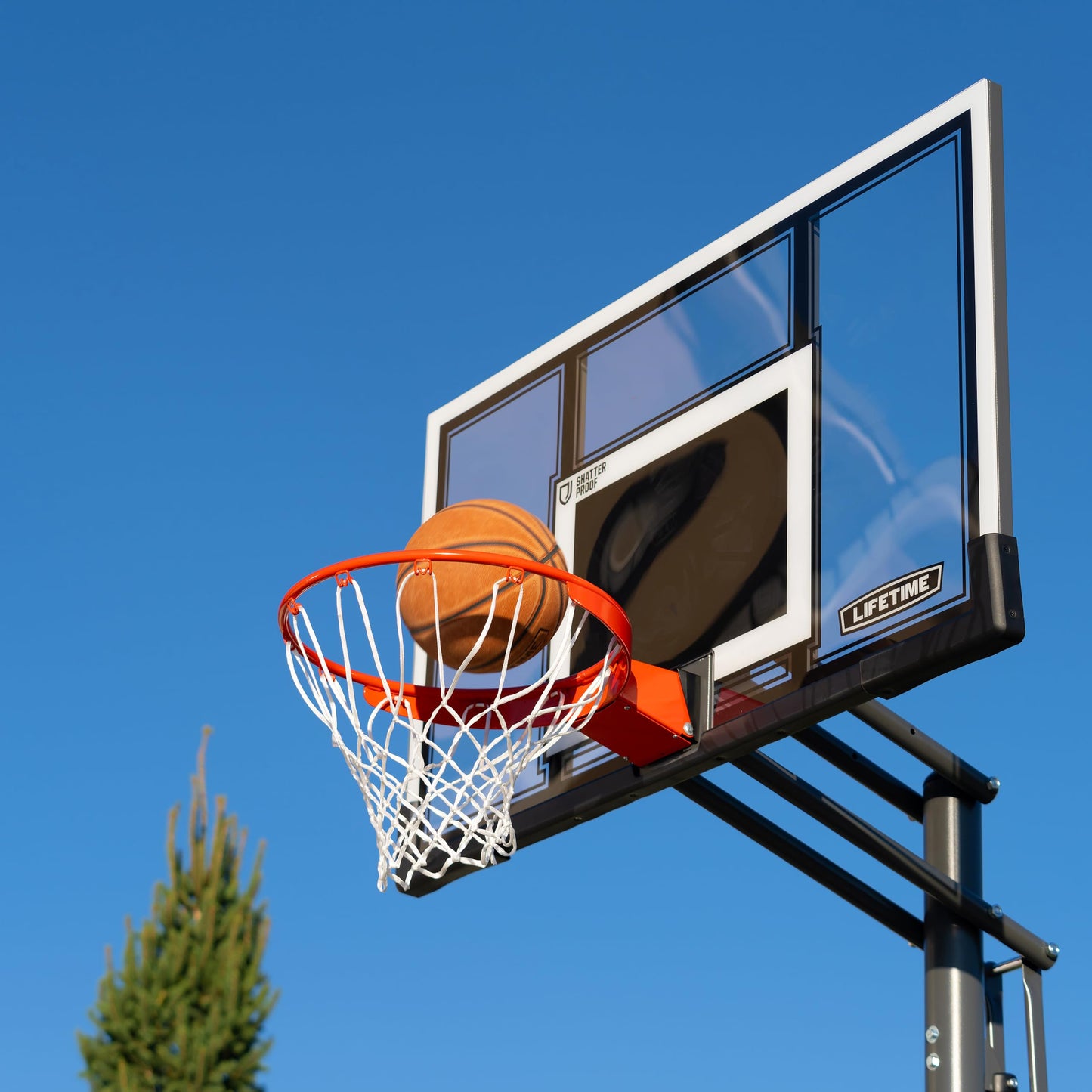 Lifetime Adjustable Portable Basketball Hoop, 54-Inch Steel-Framed Polycarbonate Backboard
